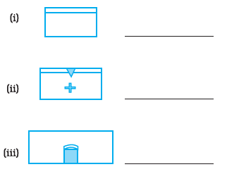 Page 189 Chapter 6 Class 8th NCERT Exemplar
